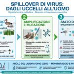 QUANDO L’AVIARIA ENTRA NEL PIANO PANDEMICO